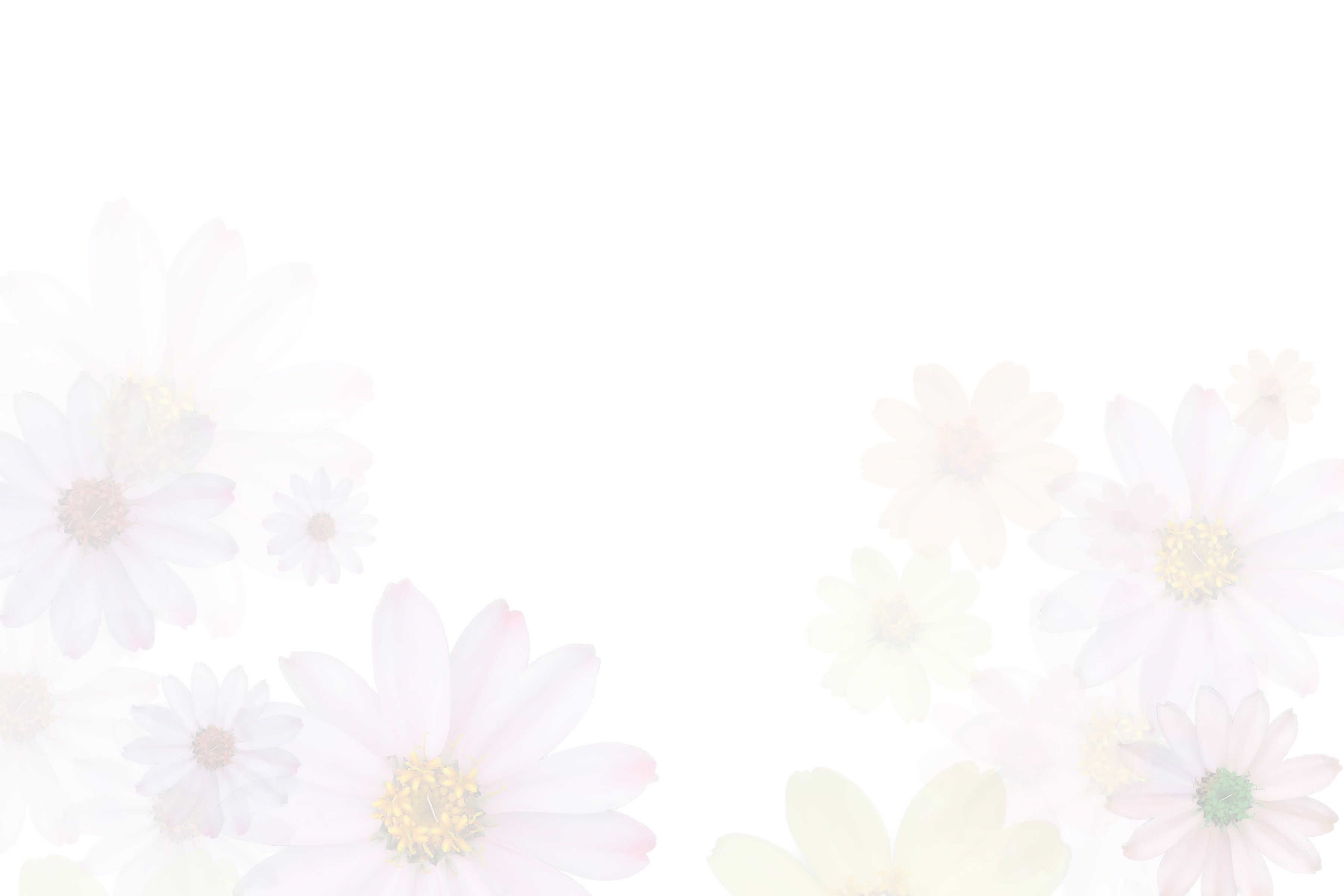 background flower3